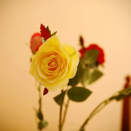 Apartman Devana Opatija