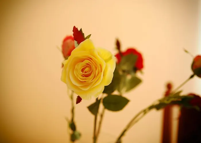 Appartamento Devana Abbazia